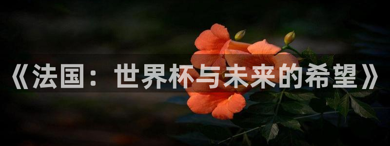 世界杯预选赛赛程：《法国：世界杯与未来的希望》