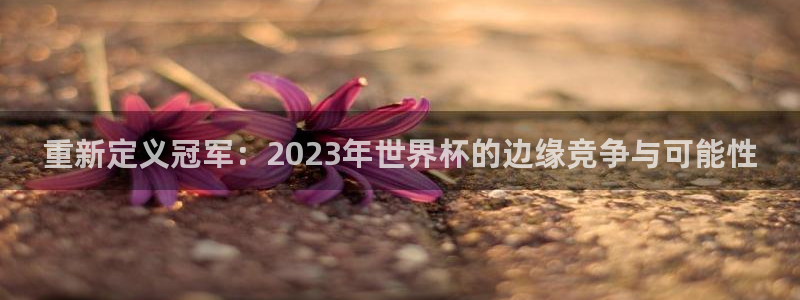 2006世界杯：重新定义冠军：2023年世界杯的边缘竞争与可能性