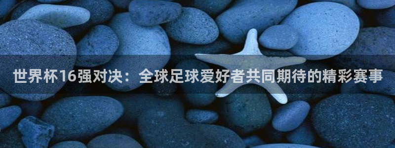 世界杯预选赛亚洲：世界杯16强对决：全球足球爱好者共同期待的精彩赛事