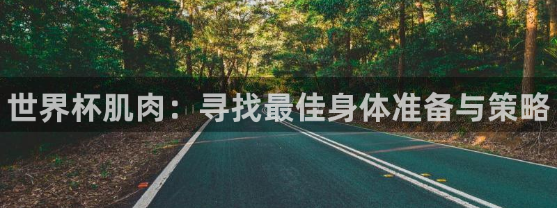 2026世预赛全部赛程：世界杯肌肉：寻找最佳身体准备与策略