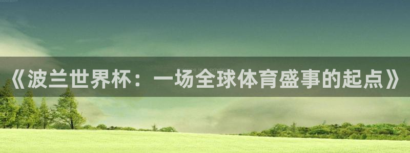 2026年世界杯：《波兰世界杯：一场全球体育盛事的起点》