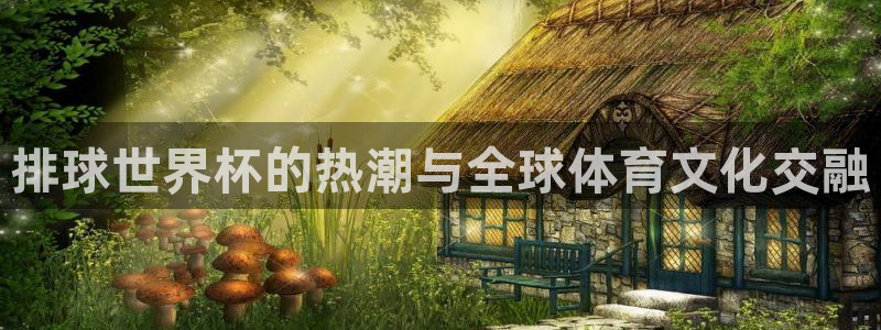 2026世界杯小组赛赛程时间表：排球世界杯的热潮与全球体育文化交融