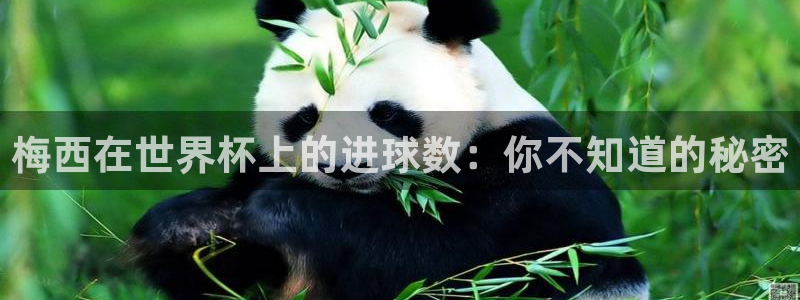 2026年世界杯赛程表时间：梅西在世界杯上的进球数：你不知道的秘密