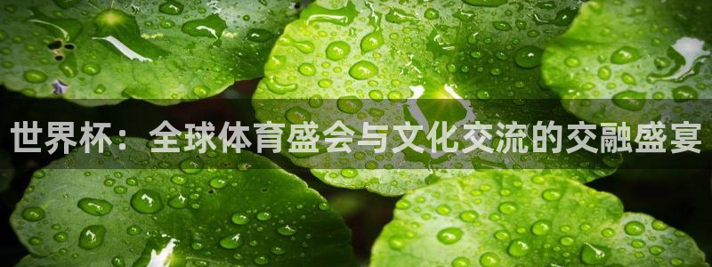 世界杯系列赛：世界杯：全球体育盛会与文化交流的交融盛宴